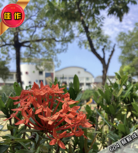 04_604  蔡毅成.jpeg